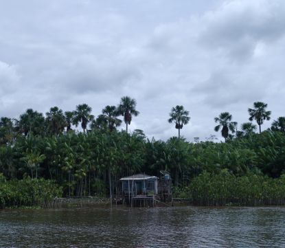 Como aproveitar o valor dos serviços ecossistêmicos na bioeconomia?