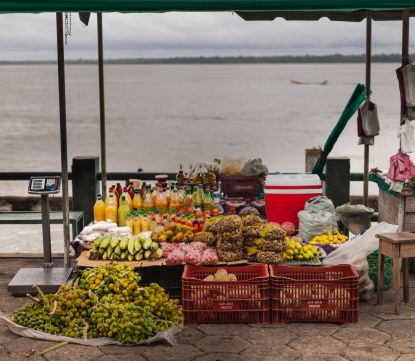Como aproveitar o valor dos serviços ecossistêmicos na bioeconomia?