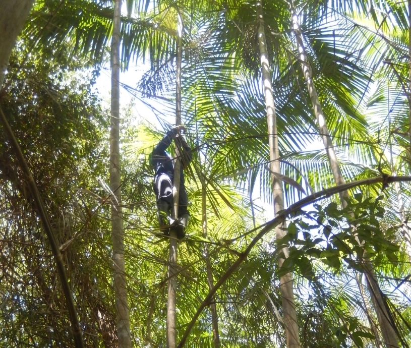 Foto homem escalando um bambu